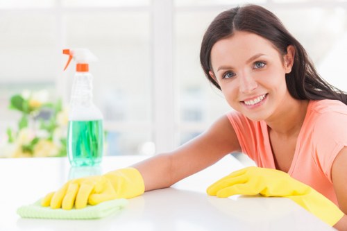 Professional carpet cleaner in Bermondsey deep cleaning a home carpet
