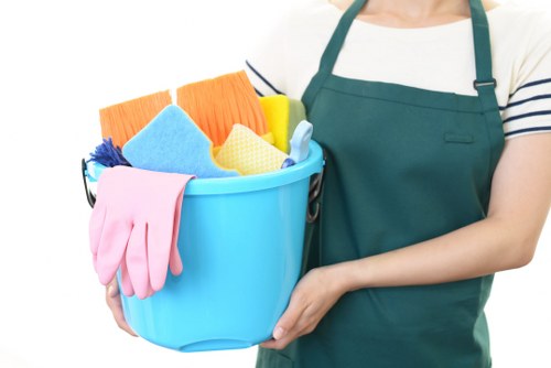 Professional cleaners working in a Bermondsey home