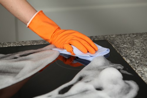Bermondsey cleaner providing professional home cleaning service