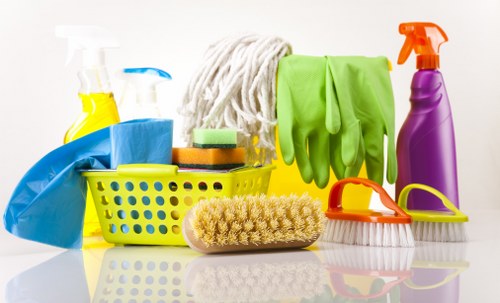 Professional Bermondsey cleaning team ready to maintain a clean residential space