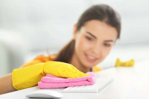 Bathroom descaling and sanitation during move-out cleaning