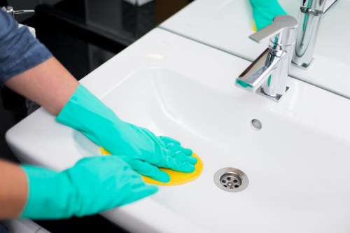 Deep cleaning a Bermondsey bathroom