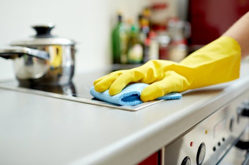 Professional cleaning of apartment interiors in Bermondsey