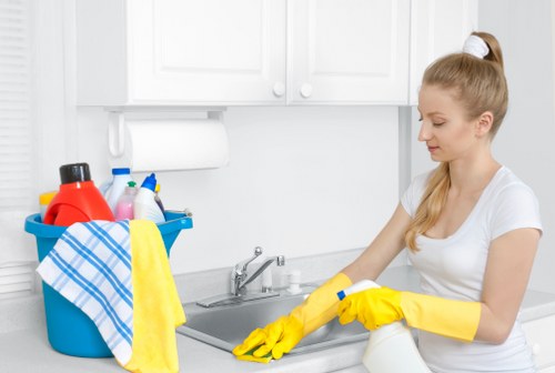 Detailed Bermondsey cleaning service for a tidy London flat